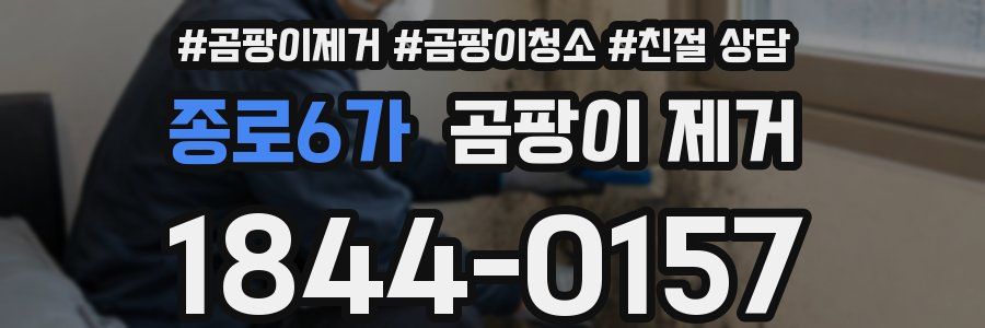 종로6가 곰팡이 제거