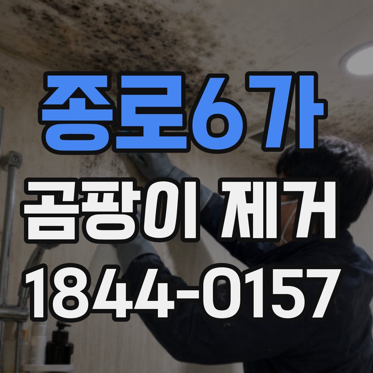 종로6가 곰팡이 제거