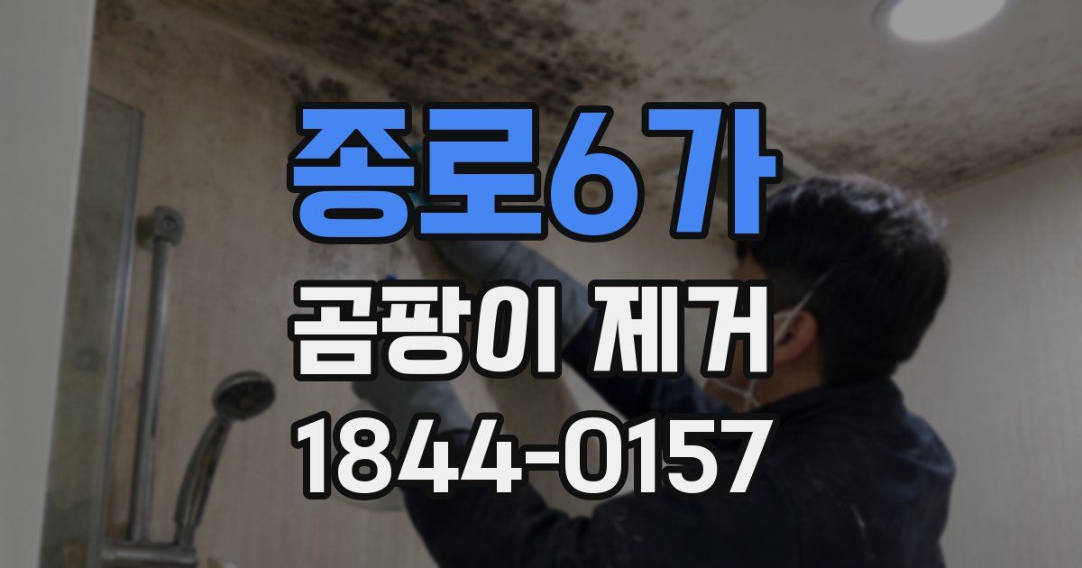 종로6가 곰팡이 제거
