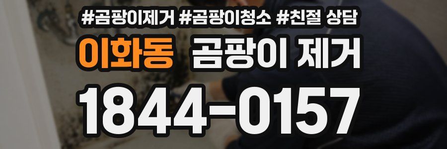 이화동 곰팡이 제거
