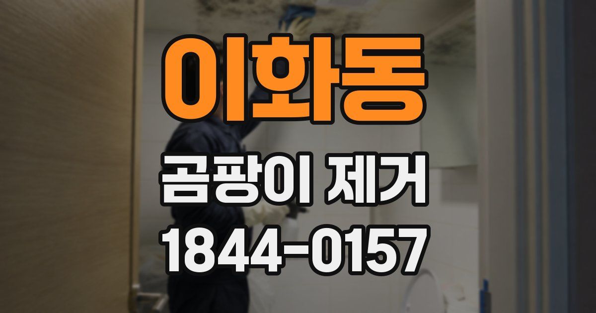 이화동 곰팡이 제거
