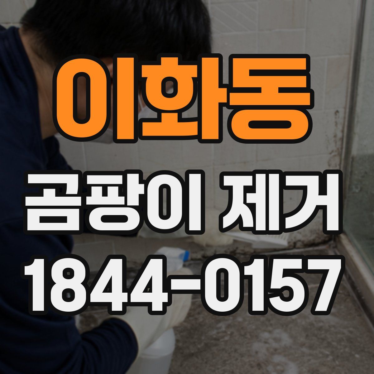 이화동 곰팡이 제거