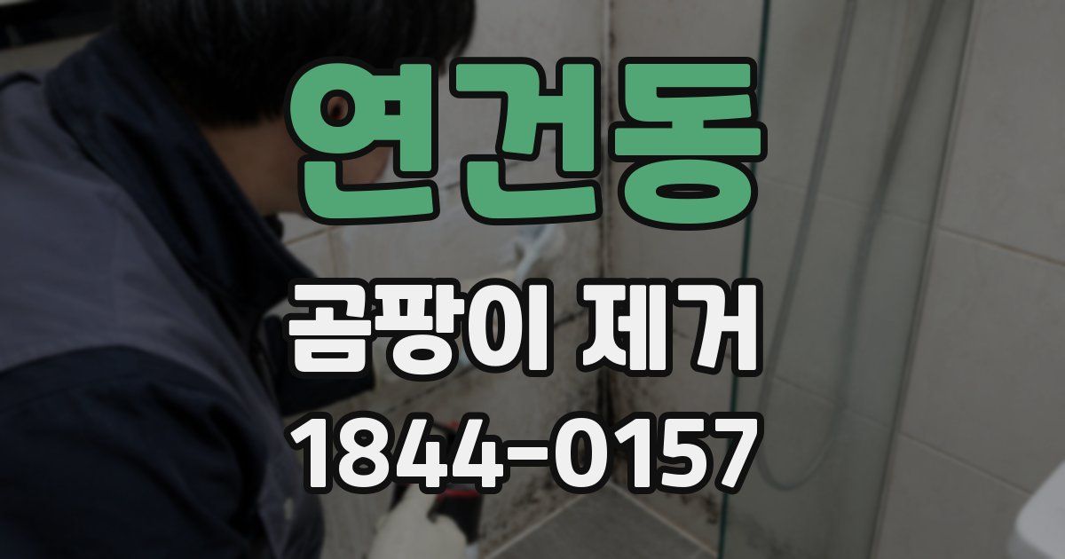 연건동 곰팡이 제거