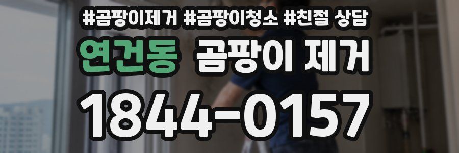 연건동 곰팡이 제거