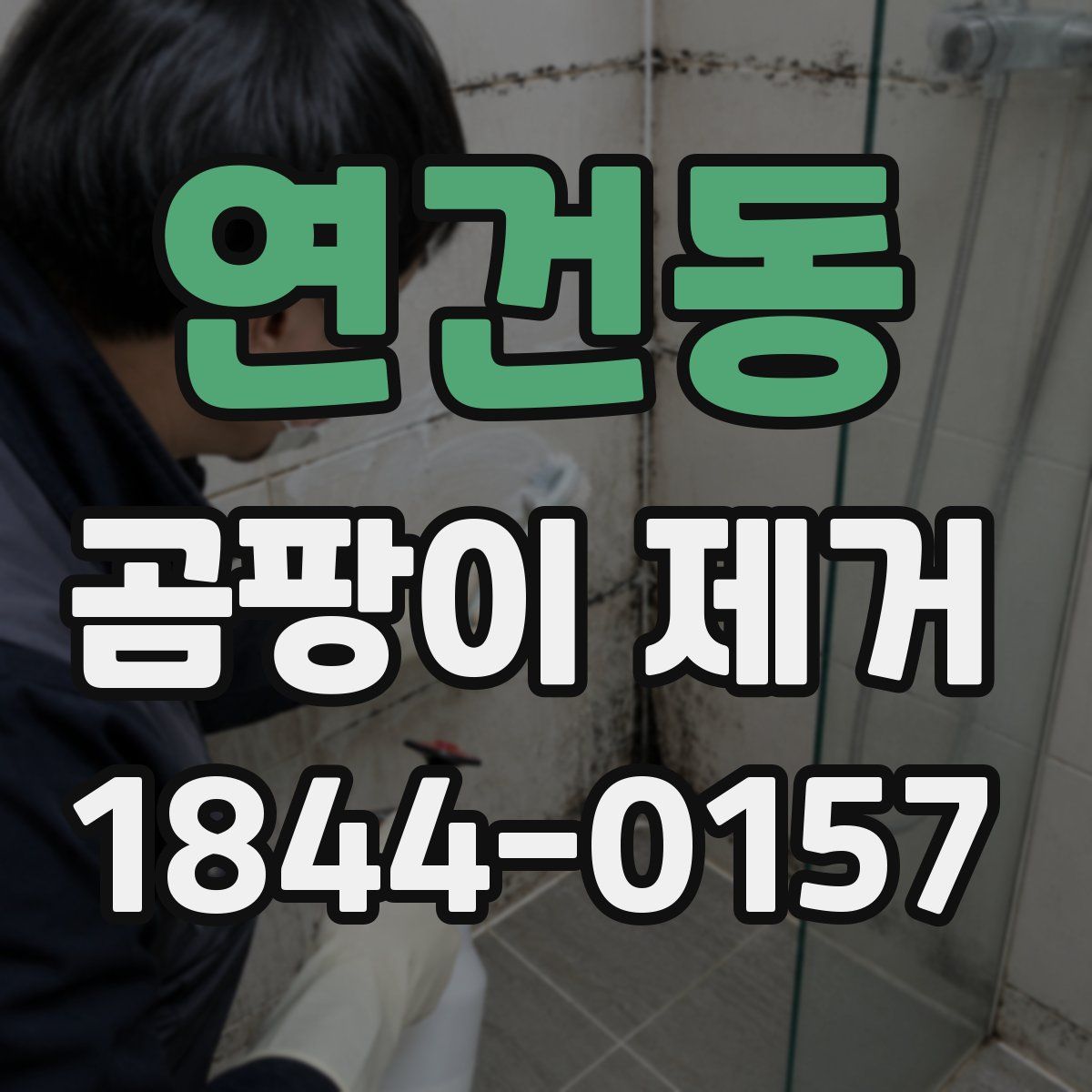 연건동 곰팡이 제거