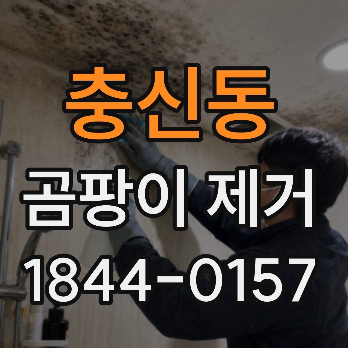 충신동 곰팡이 제거 대상이 욕실일 때 살펴볼 부분
