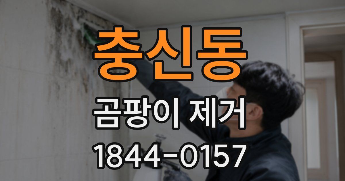 충신동 곰팡이 제거