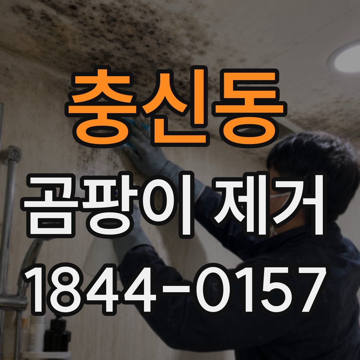 충신동 곰팡이 제거