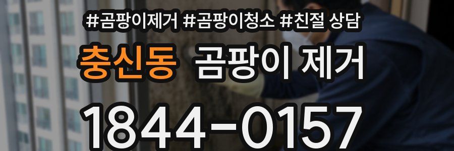 충신동 곰팡이 제거