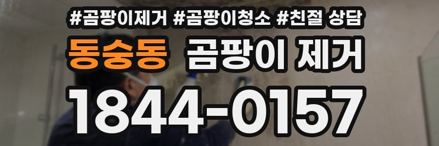 동숭동 곰팡이 제거