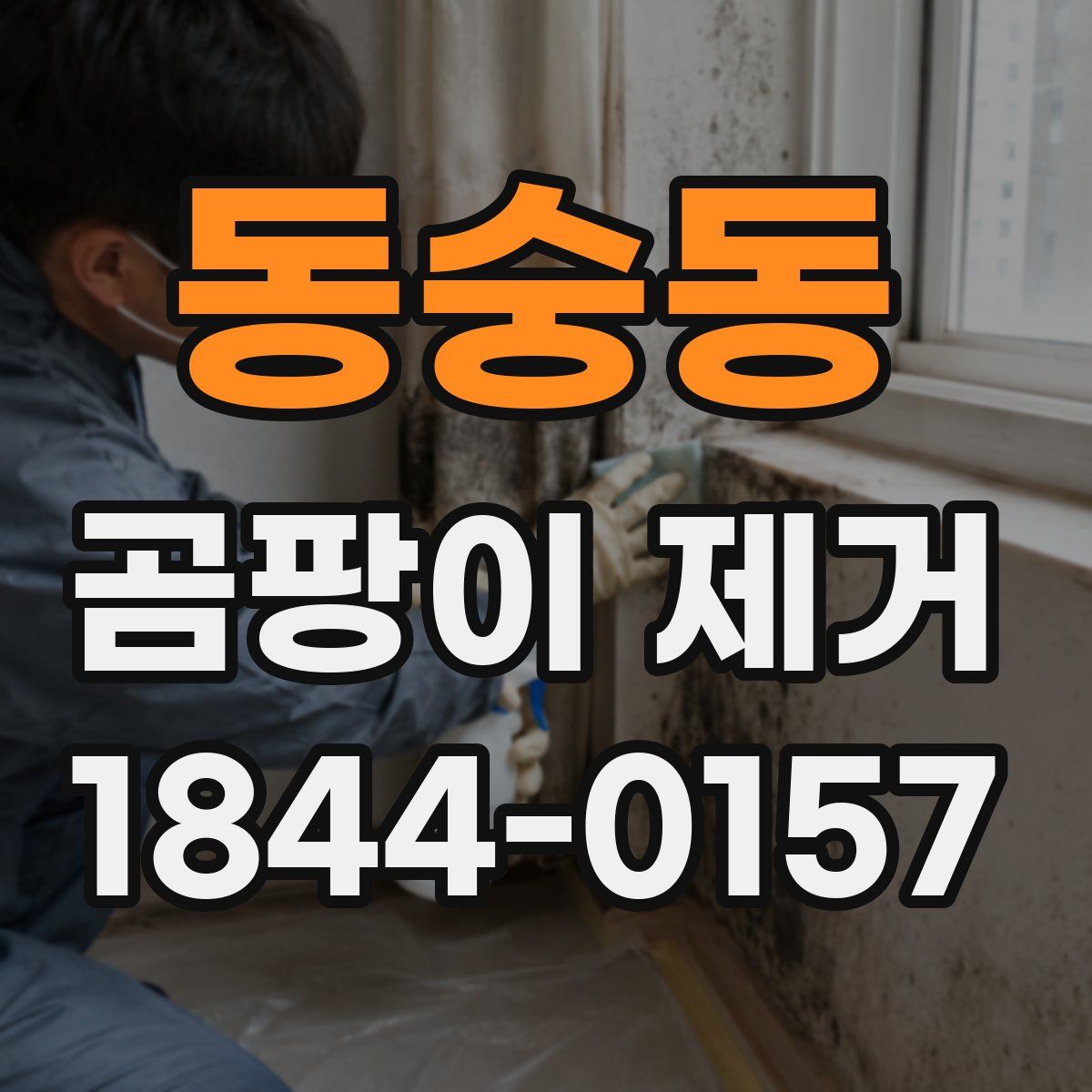 동숭동 곰팡이 제거