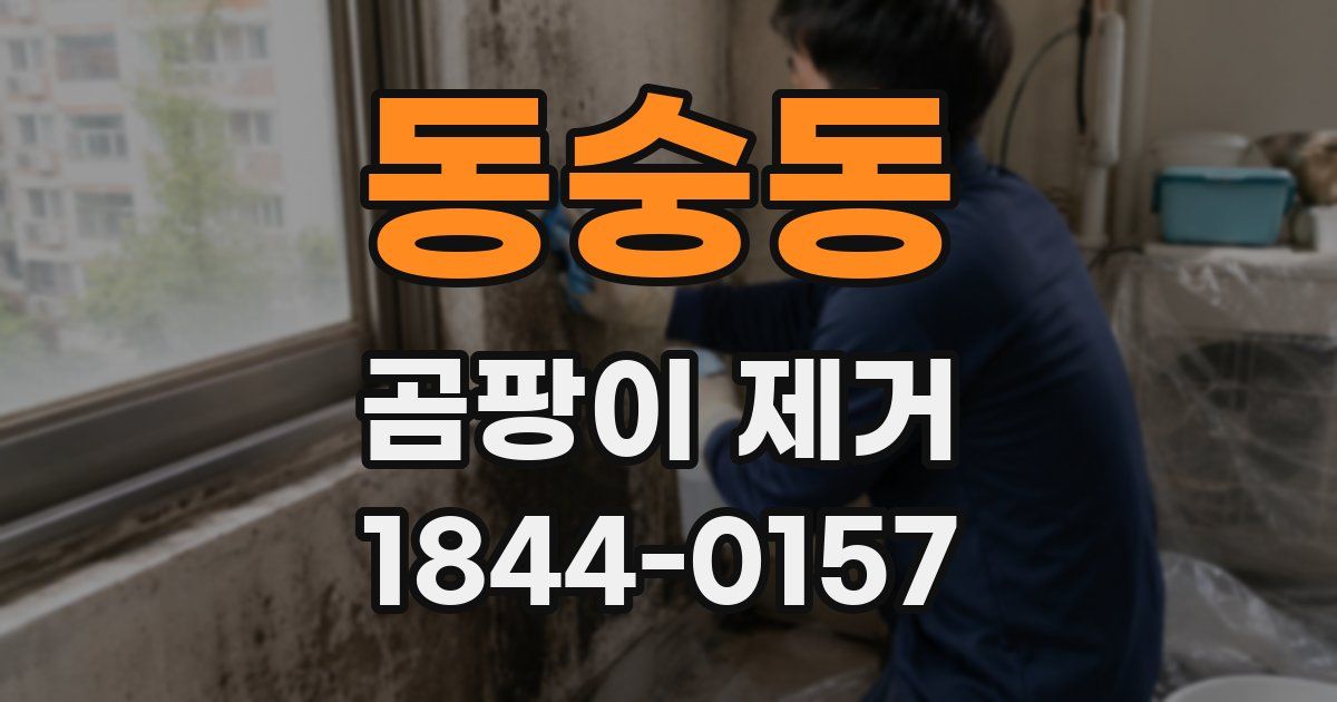 동숭동 곰팡이 제거