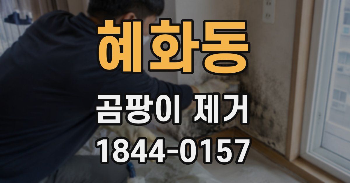 혜화동 곰팡이 제거