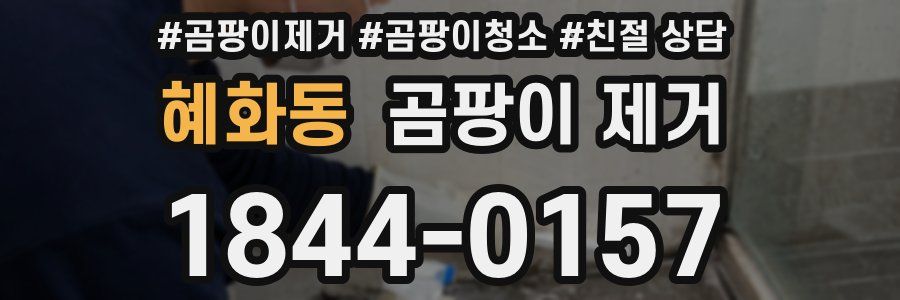 혜화동 곰팡이 제거