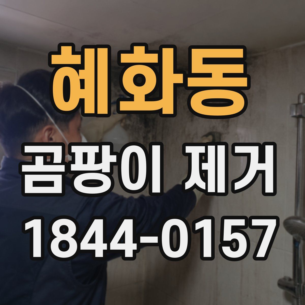 혜화동 곰팡이 제거