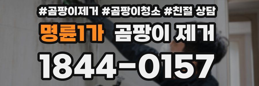 명륜1가 곰팡이 제거