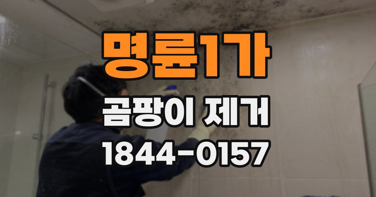 명륜1가 곰팡이 제거