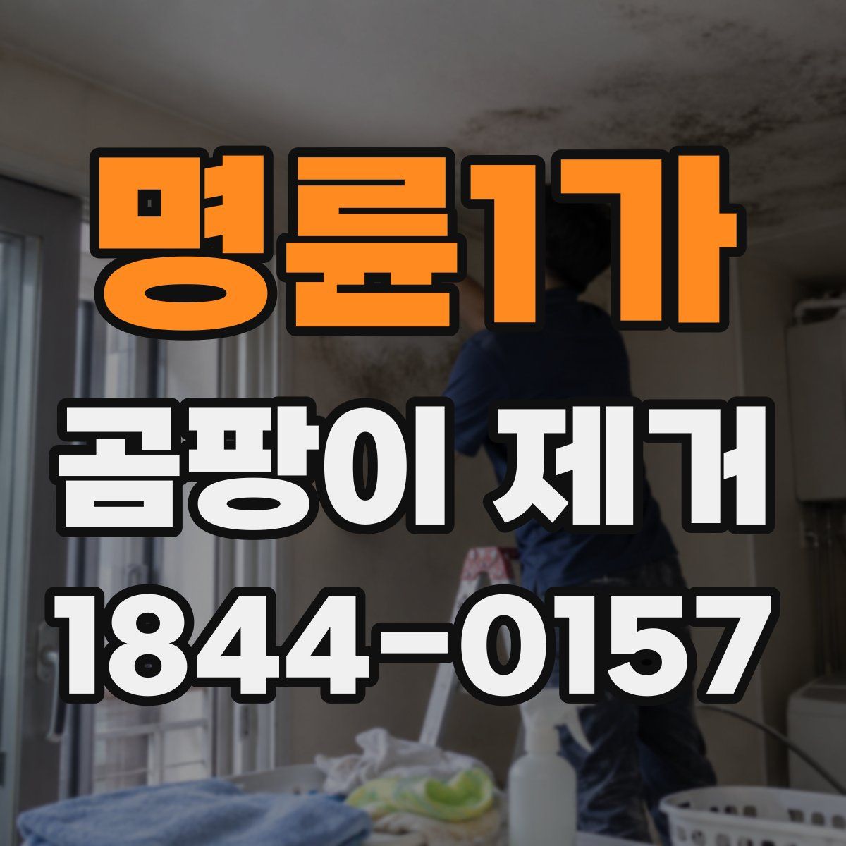 명륜1가 곰팡이 제거