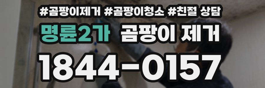 명륜2가 곰팡이 제거