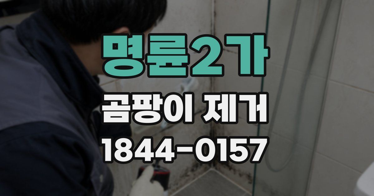 명륜2가 곰팡이 제거