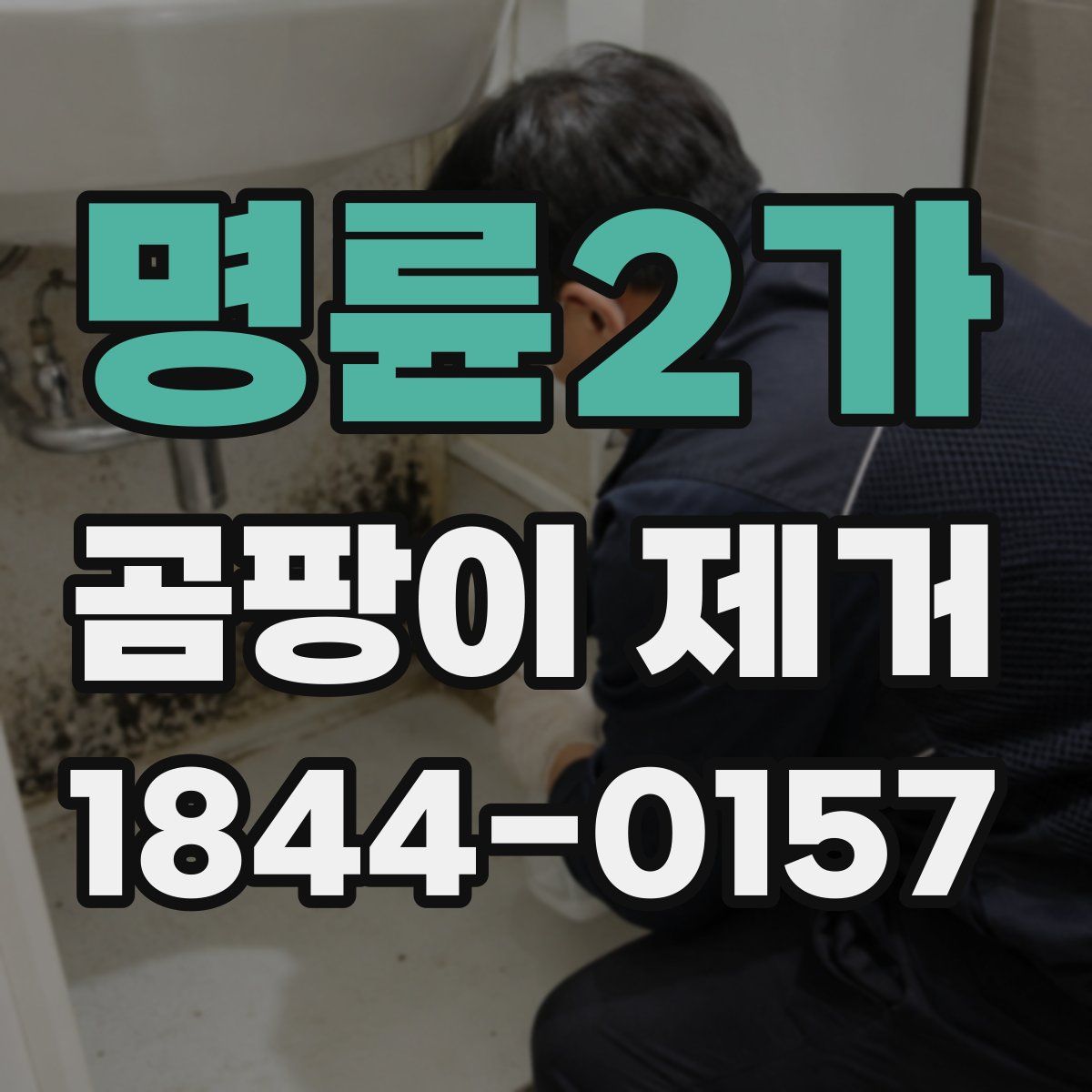 명륜2가 곰팡이 제거