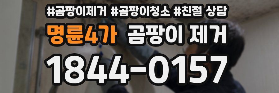 명륜4가 곰팡이 제거