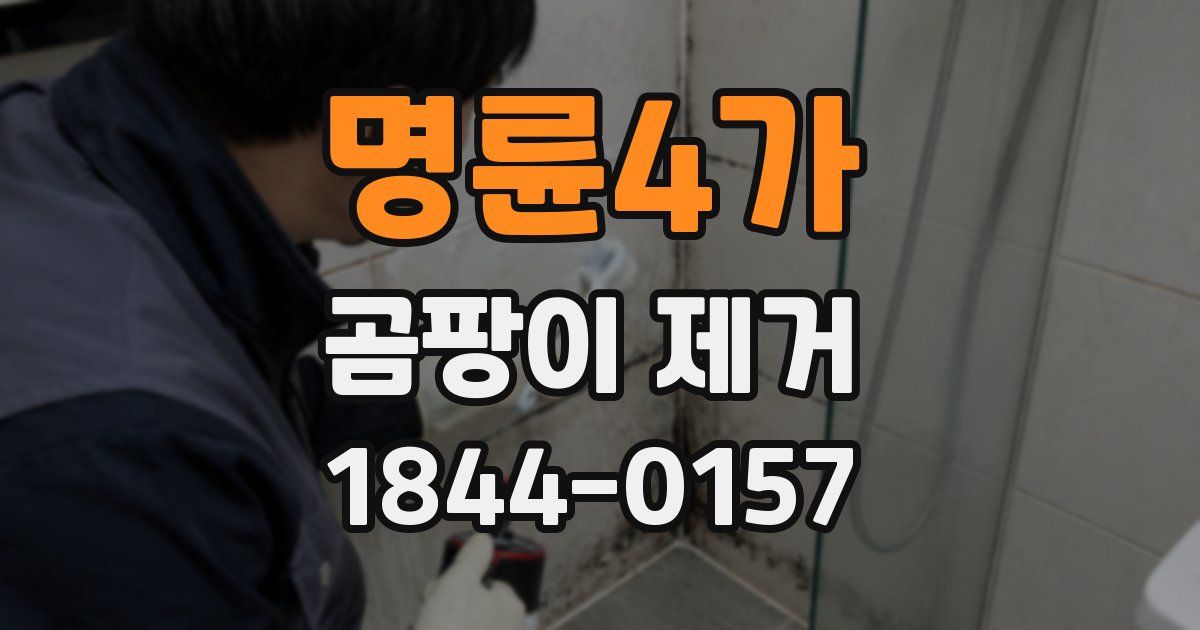 명륜4가 곰팡이 제거