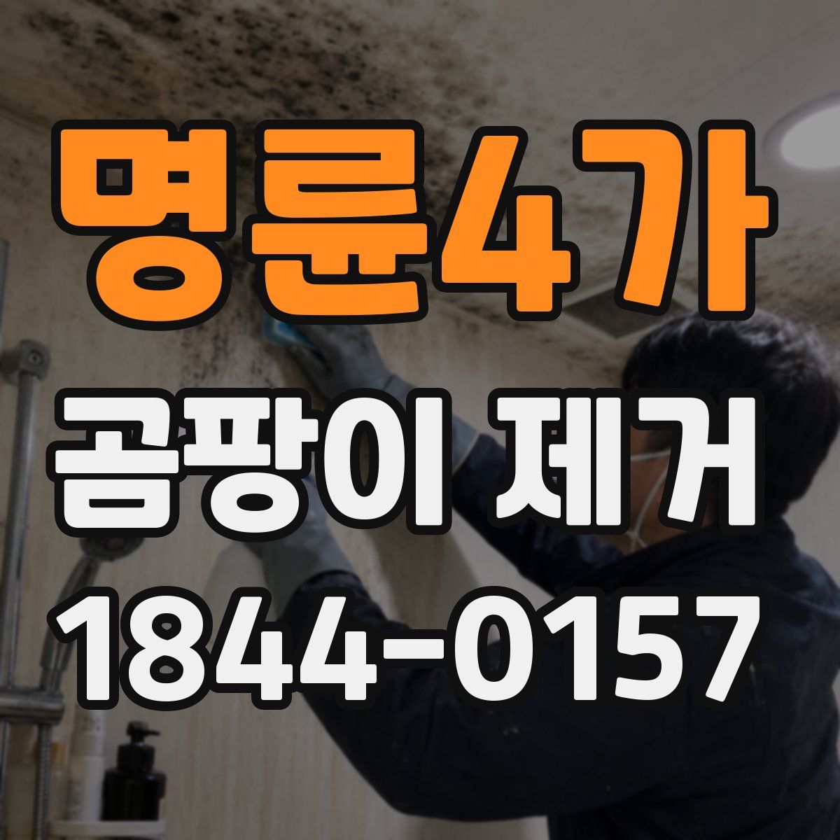 명륜4가 곰팡이 제거