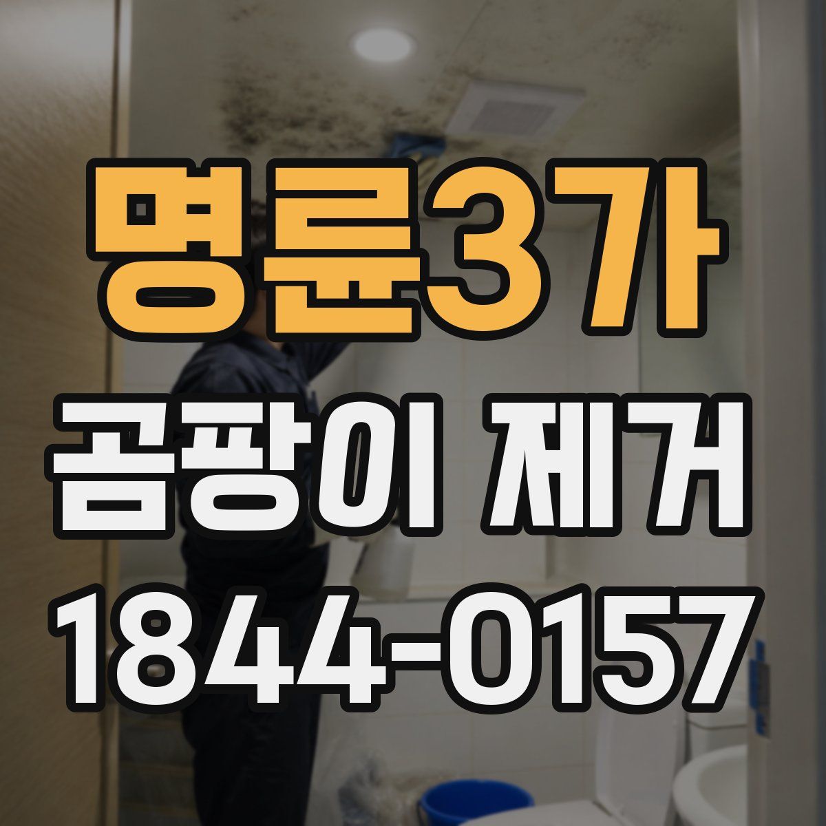 명륜3가 곰팡이 제거