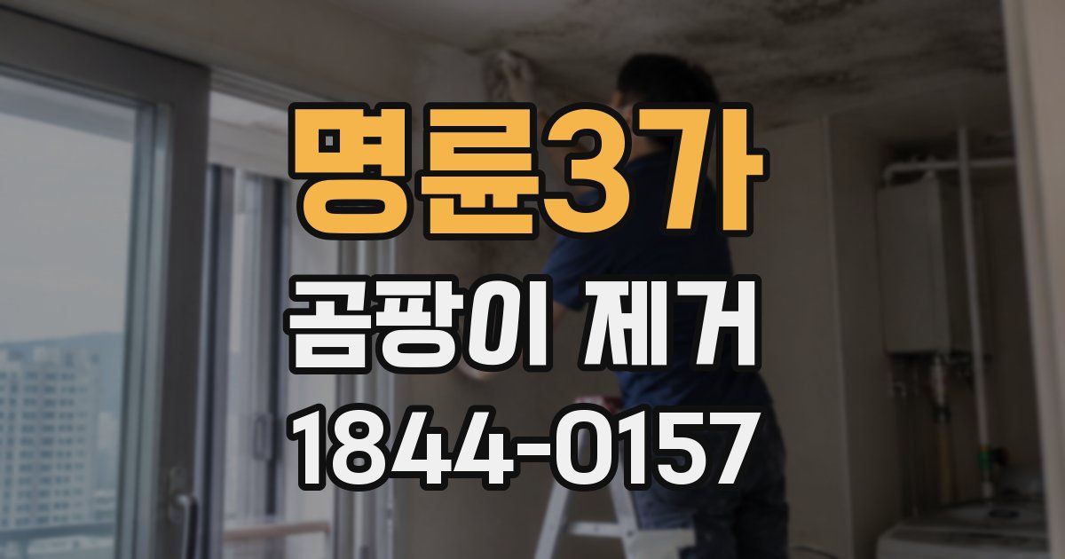 명륜3가 곰팡이 제거