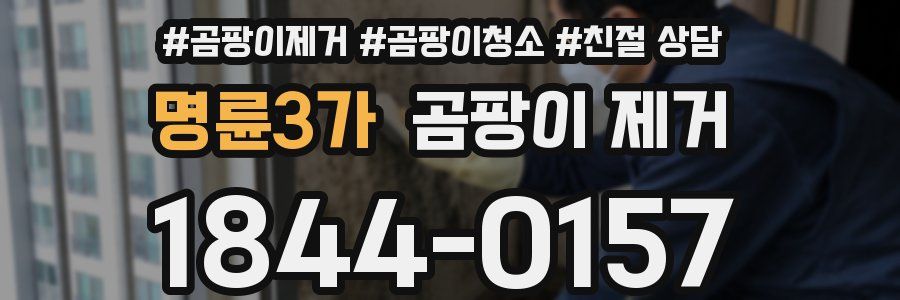 명륜3가 곰팡이 제거