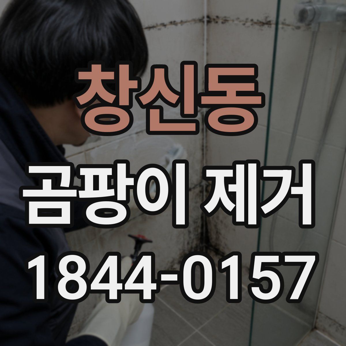 창신동 곰팡이 제거