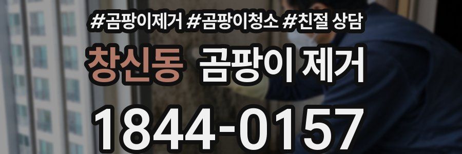 창신동 곰팡이 제거