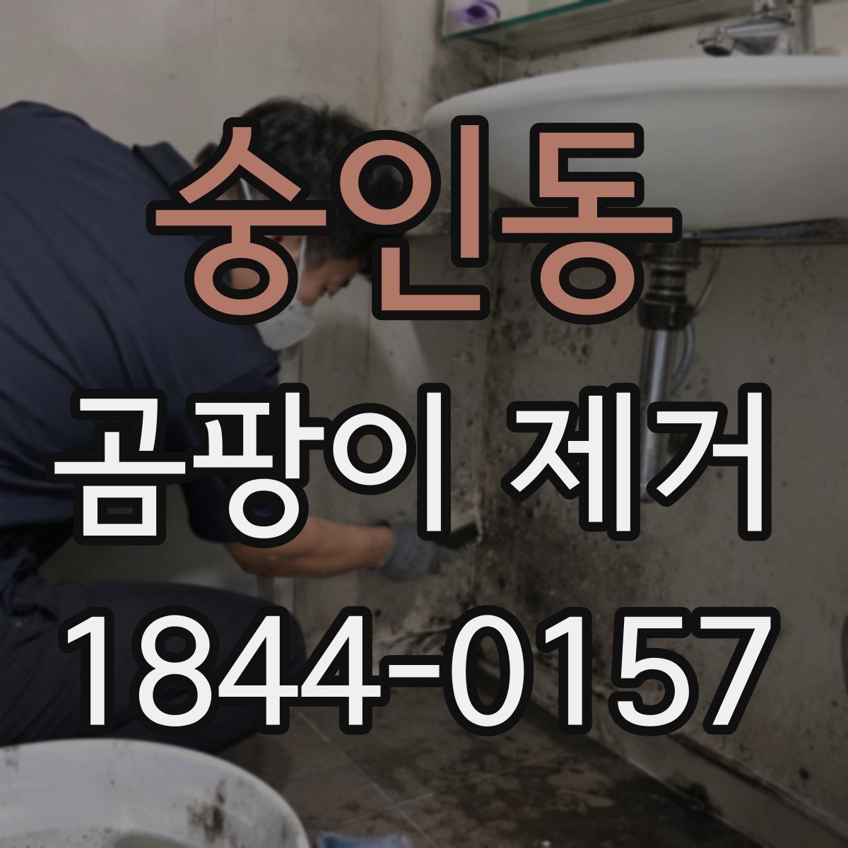 숭인동 곰팡이 제거
