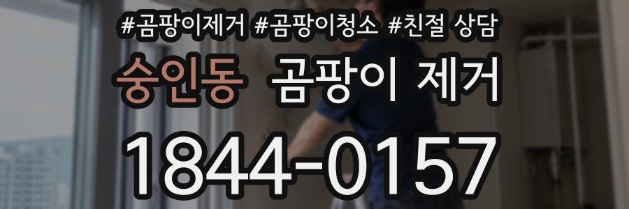 숭인동 곰팡이 제거