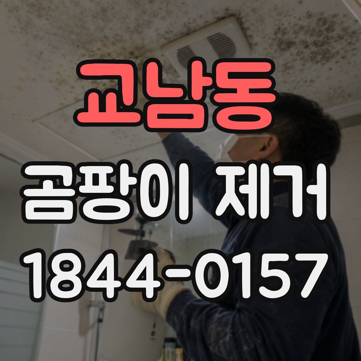교남동 곰팡이 제거