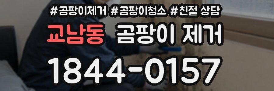 교남동 곰팡이 제거