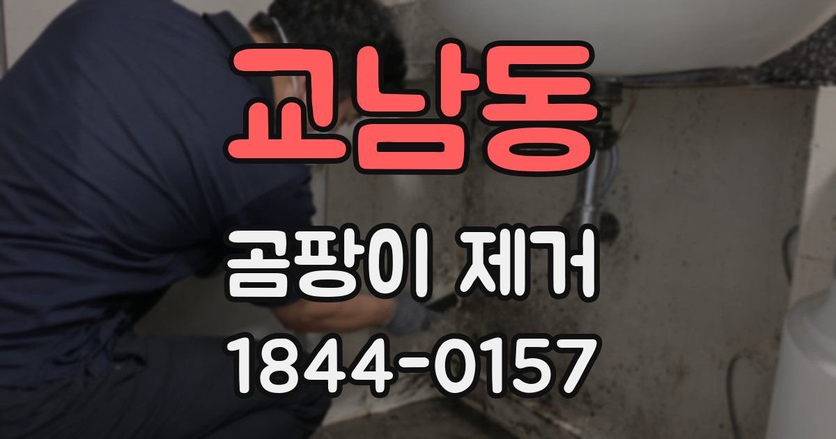 교남동 곰팡이 제거