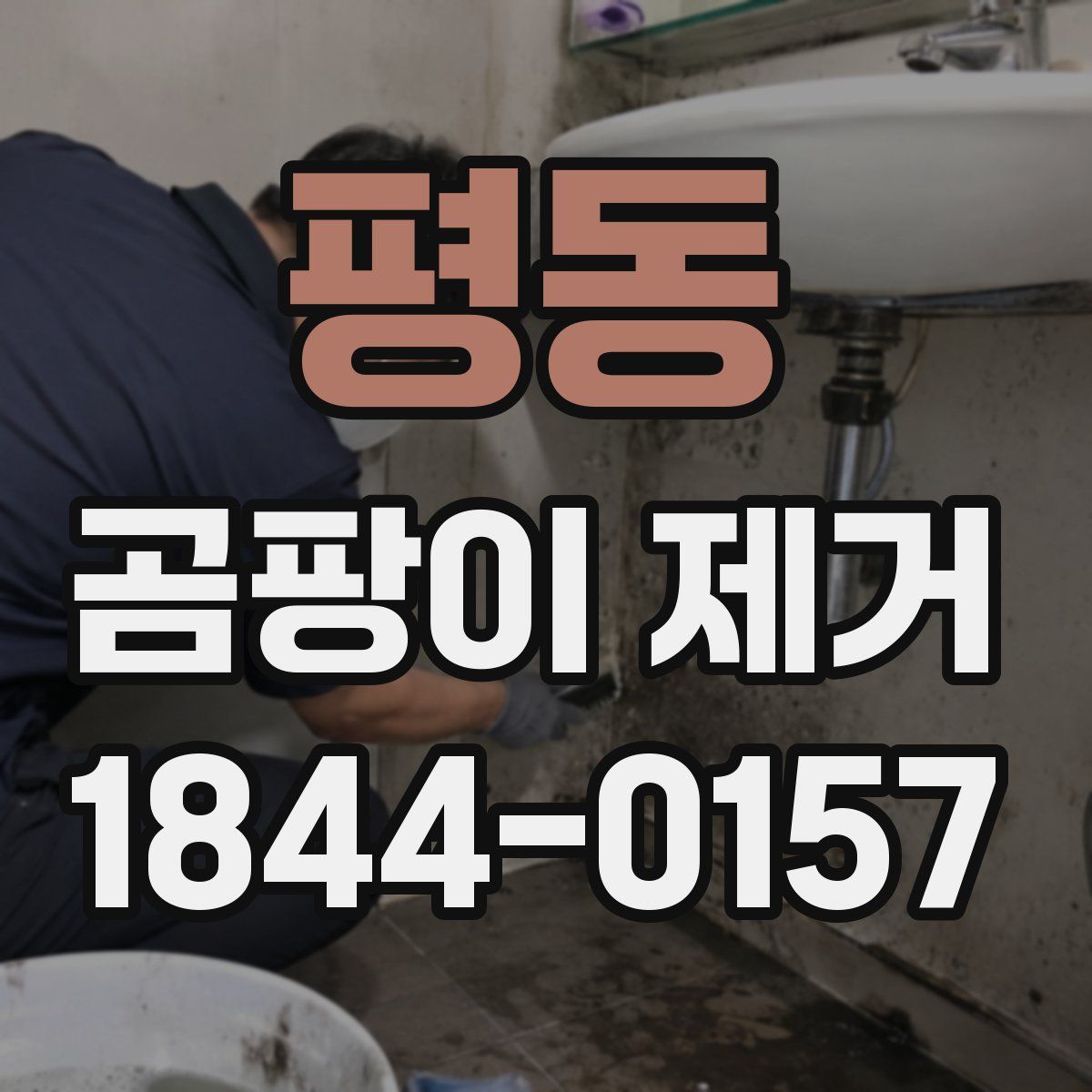 평동 곰팡이 제거