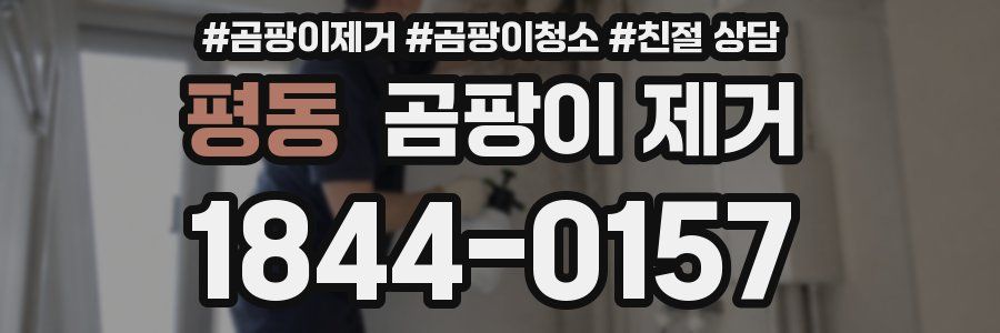 평동 곰팡이 제거