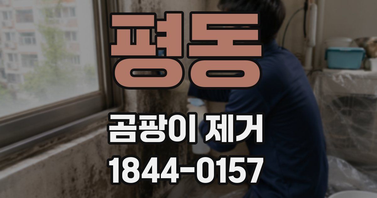 평동 곰팡이 제거
