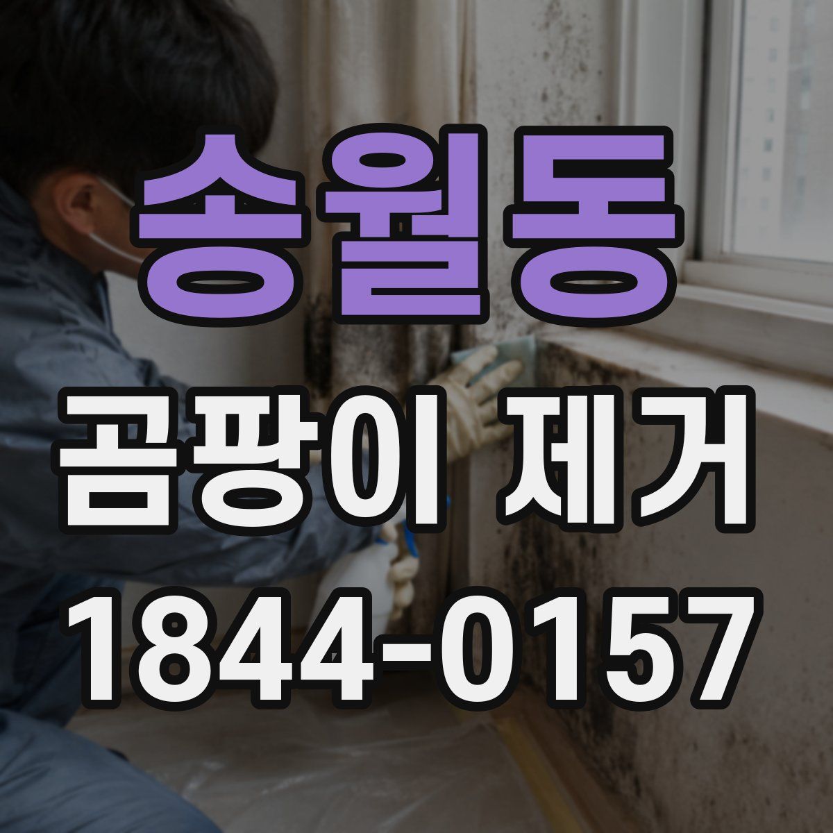 송월동 곰팡이 제거