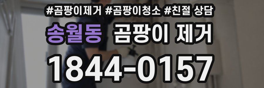 송월동 곰팡이 제거