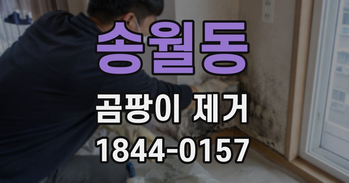 송월동 곰팡이 제거