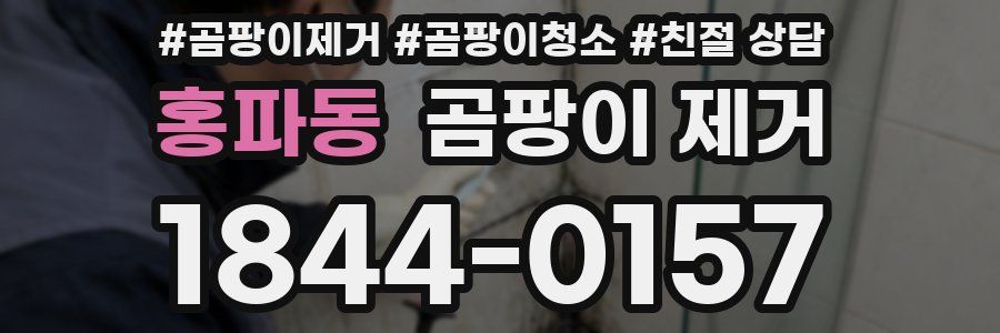 홍파동 곰팡이 제거