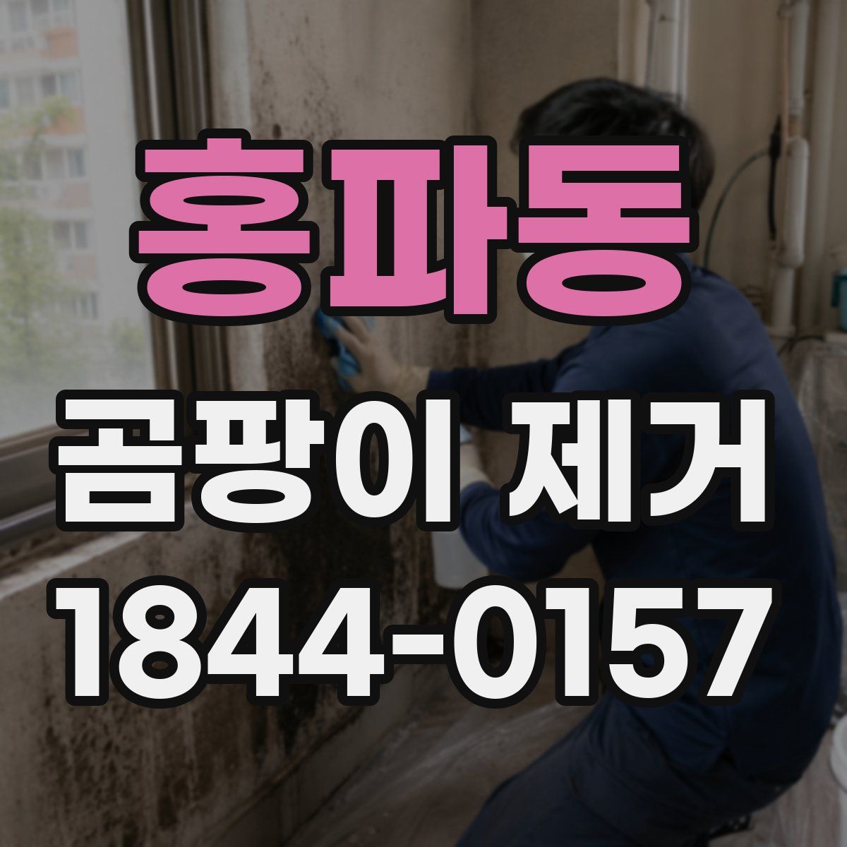 홍파동 곰팡이 제거