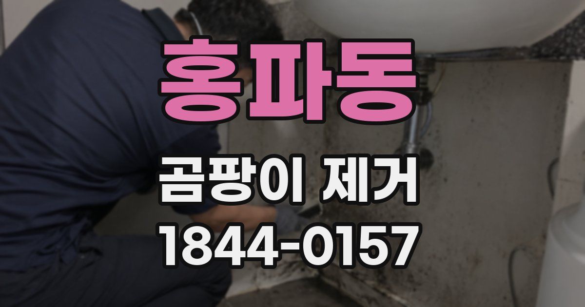 홍파동 곰팡이 제거