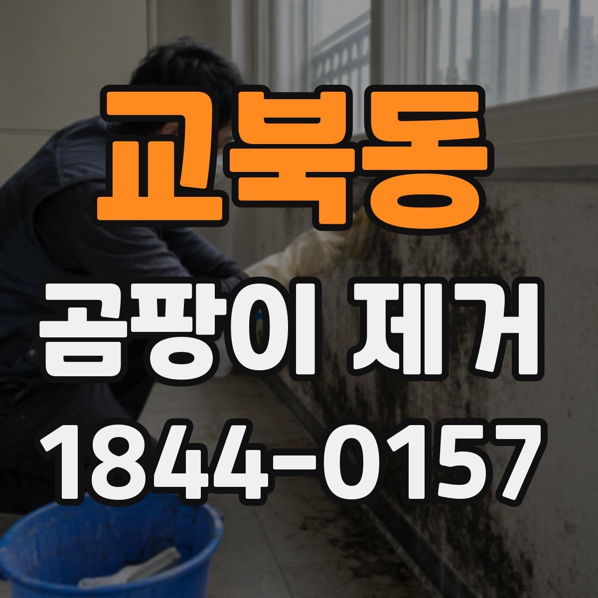 교북동 곰팡이 제거