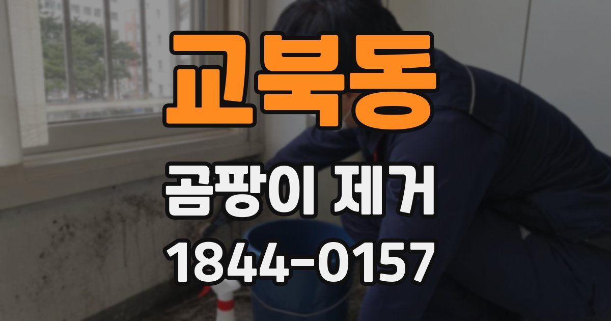 교북동 곰팡이 제거