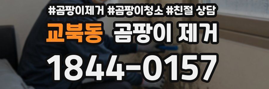 교북동 곰팡이 제거